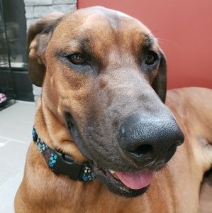 Meet your Posher, Ron